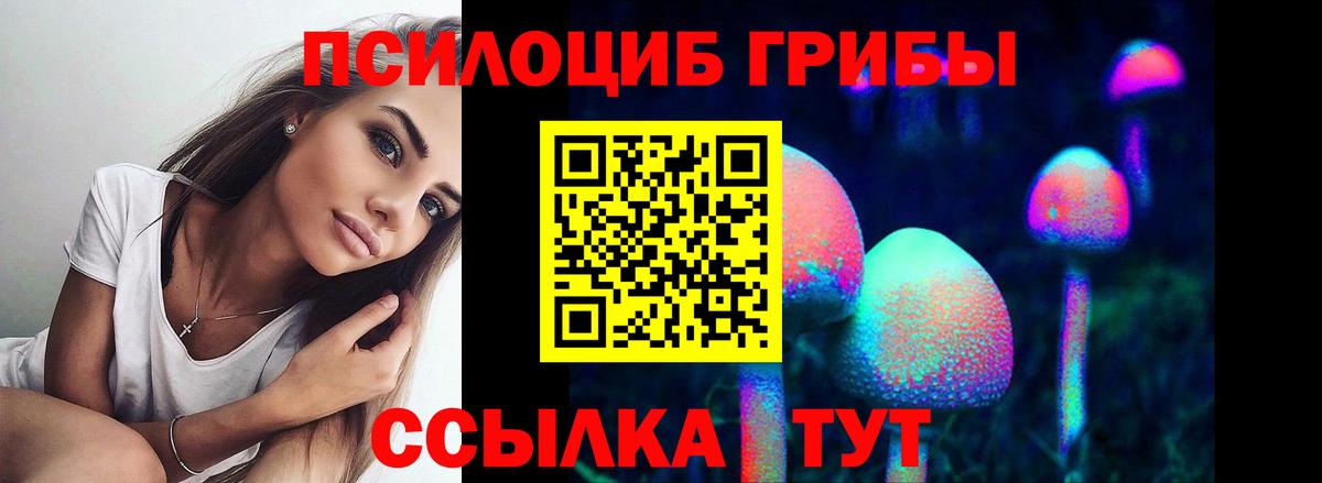 Псилоцибиновые грибы мицелий  Вход с VPN  Каменск-Уральский 